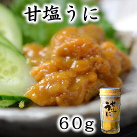 【ふるさと納税】 うに ウニ 三陸産 甘塩うに 60g 1本 ミョウバン不使用 塩のみ 岩手県産 国産 《旬の時期の生うにを惜しげもなく使った逸品》 三陸 雲丹 うに ふるさと納税 海鮮 うに瓶詰め 瓶 おつまみ おかず 酒の肴 ご飯のお供 ウニご飯