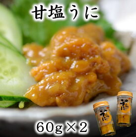 【ふるさと納税】 うに ウニ 三陸産 甘塩うに 60g×2本 化粧箱入り 岩手県産 国産 ミョウバン不使用 塩のみ《旬の時期の生うにを惜しげもなく使った逸品》三陸 雲丹 うに ふるさと納税 海鮮 うに瓶詰め おつまみ おかず 酒の肴 ご飯のお供 ウニご飯