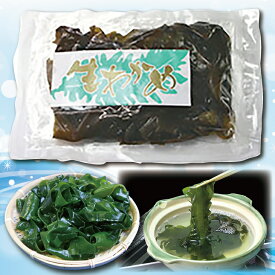 【ふるさと納税】 わかめ ワカメ 三陸水産 春感冷凍生わかめ200g×3袋 岩手県産 三陸産