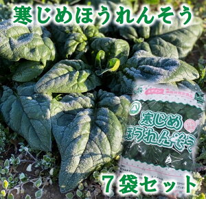 yӂ邳Ɣ[Łz  ق ys\z ߂ق񂻂 210g×7 { ق zE\E T_ Ђ X` Yn  t   ① y11{