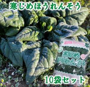 yӂ邳Ɣ[Łz  ق ys\z ߂ق񂻂 210g×10 { ق zE\E T_ Ђ X` Yn  t   ① y11{