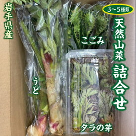 【ふるさと納税】 【先行予約】 【4月下旬頃～発送予定】 山菜 天然の山菜セット3～5種類程度 たらのめ しどけ わらび こごみ 山うど コシアブラ 天然山菜 さんさい 野菜 やさい 山の幸 旬