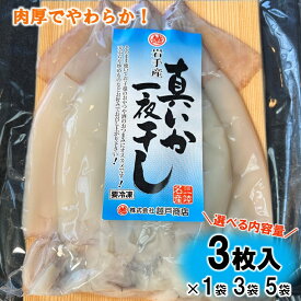 【ふるさと納税】 イカ いか 北三陸産 真イカの一夜干し 3枚入り×1袋 3袋 5袋 イカ一夜干し イカ焼き いかめし BBQ イカゲソ