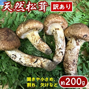 yӂ邳Ɣ[Łz  yԌz 茧Y VR 200g 󂠂 yJ⏬߁AAȂǁz ƒp