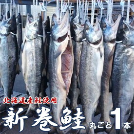 【ふるさと納税】 北海道産鮭使用 寒風干し 新巻鮭 1本 数量限定 海鮮 魚介 魚介類 海の幸 海産物 新鮮 魚 鮭 サケ さけ しゃけ サーモン 味付き 秋鮭 旬 弁当 焼き魚