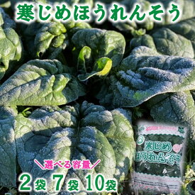 【ふるさと納税】 野菜 ほうれん草 寒じめほうれんそう 約210g×2袋 7袋 10袋 旬 ほうれん草 ホウレンソウ サラダ おひたし お味噌汁 産地直送 野菜 葉物 個包装 小分け 冷蔵 ふるさと納税 5000円以下 【11月下旬〜2月下旬頃 期間限定】