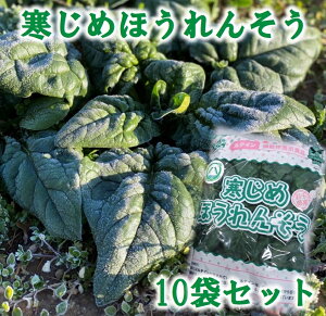 �y�ӂ邳�Ɣ[�Łz ��� �ق���� �����߂ق���񂻂� ��210g×2�� 7�� 10�� �{ �ق���� �z�E�����\�E �T���_ ���Ђ��� �����X�` �Y�n���� ��� �t�� � ������ �① �ӂ邳�Ɣ[�� 5000�~