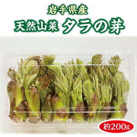 【ふるさと納税】 山菜 タラの芽 約200g 天然山菜 たらのめ さんさい 野菜 やさい 山の幸 旬