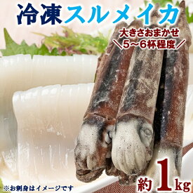 【ふるさと納税】 三陸水産 冷凍スルメイカ 約1kg （5～6杯程度） いか 刺身 いかの塩辛 いかめし いかげそ イカ焼き フライ いかソーメン げそ イカゲソ いかめし イカ飯 新鮮 海産物 魚介 海鮮 海の幸 使いやすい 便利 ふるさと納税 ika