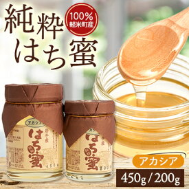 【ふるさと納税】【100%軽米町産】天然ハチミツセット(アカシア蜜の450g1本と200g1本)【配送不可地域：離島・沖縄県】【1070547】