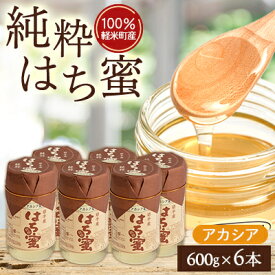 【ふるさと納税】【100%軽米町産】天然ハチミツセット(アカシア蜜の600g6本)【配送不可地域：離島・沖縄県】【1070551】