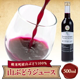 【ふるさと納税】【軽米町産ヤマブドウ使用】100%山ぶどうジュース　500ml×1本【配送不可地域：離島・沖縄県】【1101954】
