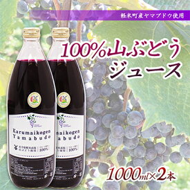 【ふるさと納税】【軽米町産ヤマブドウ使用】100%山ぶどうジュース　1000ml×2本【配送不可地域：離島・沖縄県】【1101956】