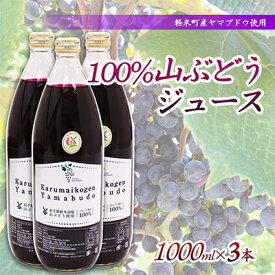 【ふるさと納税】【軽米町産ヤマブドウ使用】100%山ぶどうジュース　1000ml×3本【配送不可地域：離島・沖縄県】【1101957】