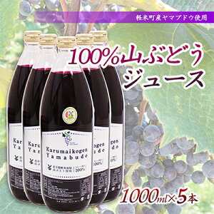 yӂ邳Ɣ[ŁzyyĒY}uhEgpz100%RԂǂW[X@1000ml×5{y1101958z