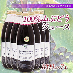yӂ邳Ɣ[ŁzyyĒY}uhEgpz100%RԂǂW[X@1000ml×7{y1101959z