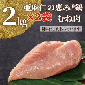 yӂ邳Ɣ[ŁzymzňƂzm̌b(R){@ނ˓2kg(1/2)yzsnFzyG1111020z