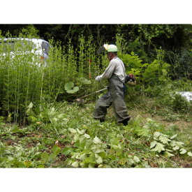 【ふるさと納税】軽米町シルバー人材センターの草刈り作業(機械使用・2時間)サービス【配送不可地域：離島・沖縄県】【1393046】