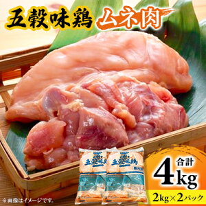 yӂ邳Ɣ[Łz܍{(ǂ)l4kgZbg(2kg×2pbN)yzsnFzy1435721z