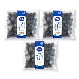 【ふるさと納税】軽米町産【完熟大粒ブルーベリー】冷凍　300g×3袋(合計約900g)【配送不可地域：離島・沖縄県】【1675299】