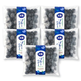【ふるさと納税】軽米町産【完熟大粒ブルーベリー】冷凍　300g×5袋(合計約1500g)【配送不可地域：離島・沖縄県】【1675308】