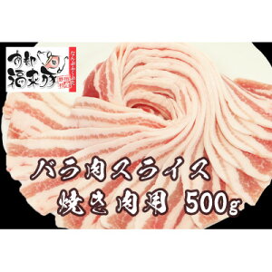 yӂ邳Ɣ[Łz암؃o XCX(Ăp)500gyzsnFzy1660860z
