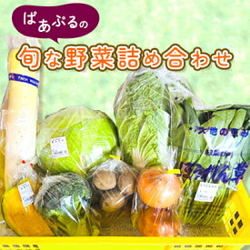 【ふるさと納税】ぱあぷるの旬な野菜詰め合わせ【配送不可地域：離島】【1696633】
