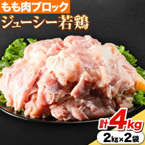 yӂ邳Ɣ[Łz{  W[V[ { Iׂ Hה׃Zbg  ނ ubN v4kg~6kg  ނ˓s30ȓɔ\(yj)t茧 ˑ Ƃ X[N`L 