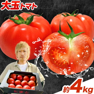 yӂ邳Ɣ[Łzy2026Nstz g}g ʃg}g VN Iׂ2kg or 4kg 9~24 V_s2026N7{-9{oׁt 茧 ˑ  茧Y Y   傫 