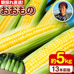 yӂ邳Ɣ[Łẑ꒼I Ƃ낱  Â 5kg 13{ 2LTCY ˍGs2026N7{-8{oׁt茧 ˑ gERV 5kg XC[gR[ VN W 