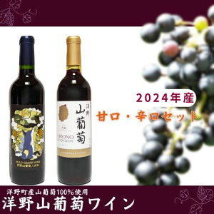 yӂ邳Ɣ[Łzy2024NYzmRC720ml i ÌE hje1{
