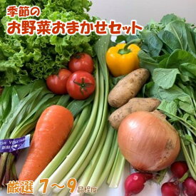 【ふるさと納税】季節のお野菜おまかせセット
