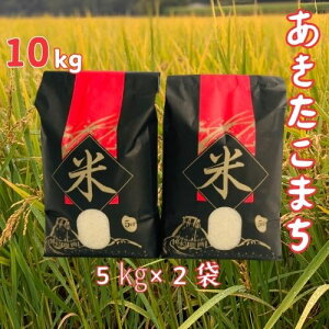 yӂ邳Ɣ[Łzyߘa7NYzm쒬Y܂10kgi5kg×2܁j