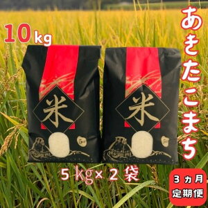 yӂ邳Ɣ[Łzy3ցzߘa7NYm쒬Y܂10kgi5kg×2܁j×3