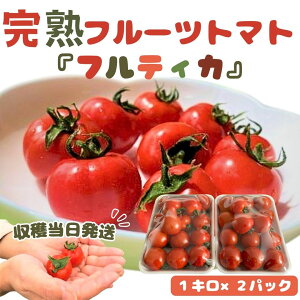 yӂ邳Ɣ[Łzynznt[cg}giteBJj1kg×2pbN