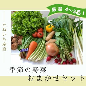 【ふるさと納税】季節のお野菜おまかせセット（4～5品程度）