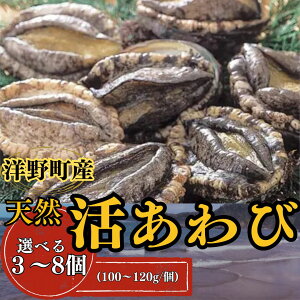 yӂ邳Ɣ[ŁzVR Iׂ3`8 (100`120g/) ①  hg Xe[L Yn