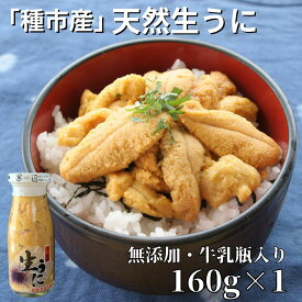 【ふるさと納税】本州一の「種市産」天然生うに瓶入り160g×1本【ミョウバン不使用・無添加】増殖溝 北三陸 塩水うに キタムラサキウニ 牛乳瓶入り 鮮度抜群 雲丹 産地直送