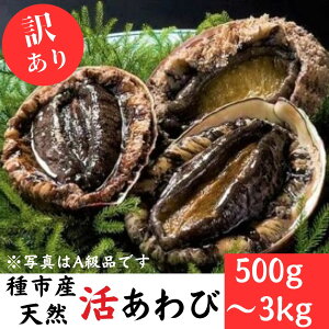 yӂ邳Ɣ[ŁzsYVR(󂠂) Iׂ500g`3kg ①  hg Xe[L Yn