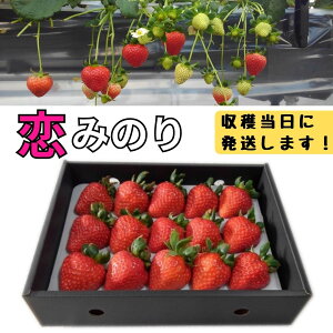 �y�ӂ邳�Ɣ[�Łz�嗱���n�������i���݂̂�j1�p�b�N �̂ꂽ�� ���I ���n��������