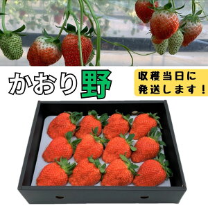 �y�ӂ邳�Ɣ[�Łz�嗱���n�������i�������j1�p�b�N �̂ꂽ�� ���I ���n��������