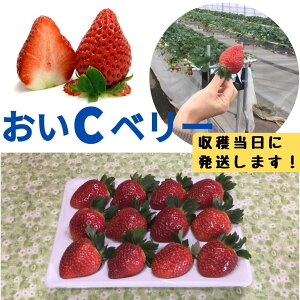 �y�ӂ邳�Ɣ[�Łz�嗱���n�������i����C�x���[�j1�p�b�N �̂ꂽ�� ���I ���n��������