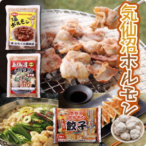 【ふるさと納税】気仙沼ホルモンしお300g+鍋用みそ味300g+餃子【配送不可地域:離島】【1344336】