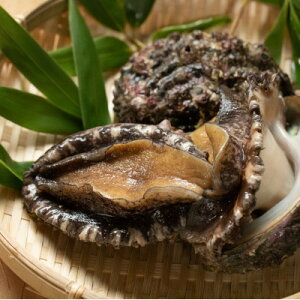 yӂ邳Ɣ[ŁzyOzOYVRAr 5`6(600g)@LނZbgyzsnFEkCEꌧEMzAkECEߋEEElEBzy1371847z