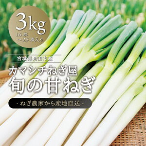 【ふるさと納税】カマシチねぎ屋 旬の甘ねぎ 3kg【1381451】
