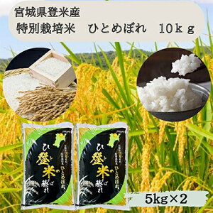 yӂ邳Ɣ[Łzyߘa7NYz{錧oĎsY@ʍ͔|ĂЂƂ߂ڂ10kg(5kg×2)y1397558z