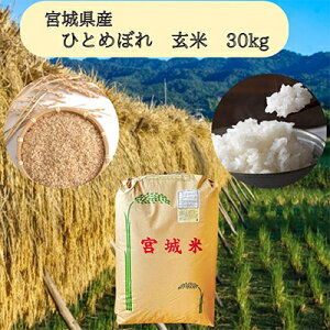 yӂ邳Ɣ[Łzyߘa7NYz{錧YЂƂ߂ڂꌺā@30kgy1397625z