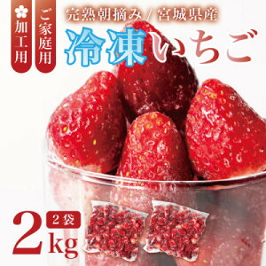 yӂ邳Ɣ[Łz{錧Y nⓀ 2kg(1kg×2)yHpEƒpzw^ŕ֗ʔNoׁyzsnFzy1497570z