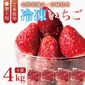 【ふるさと納税】宮城県産 完熟冷凍いちご 4kg(1kg×4袋)【加工用・ご家庭用】ヘタ無しで便利♪通年出荷【配送不可地域：離島】【1497571】