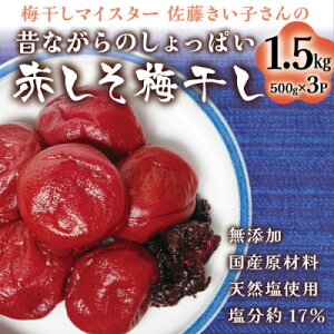 yӂ邳Ɣ[ŁzyYE17%ẑȂ̐Ԃ~1.5kg ~}CX^[q VRy1497575z